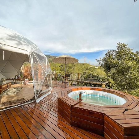 Nazca Glamping Hotell Villamaría Exteriör bild